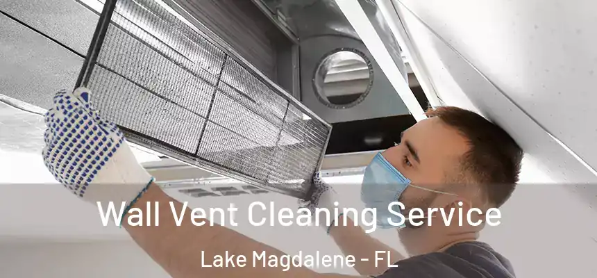 Wall Vent Cleaning Service Lake Magdalene - FL