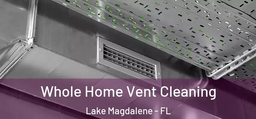 Whole Home Vent Cleaning Lake Magdalene - FL
