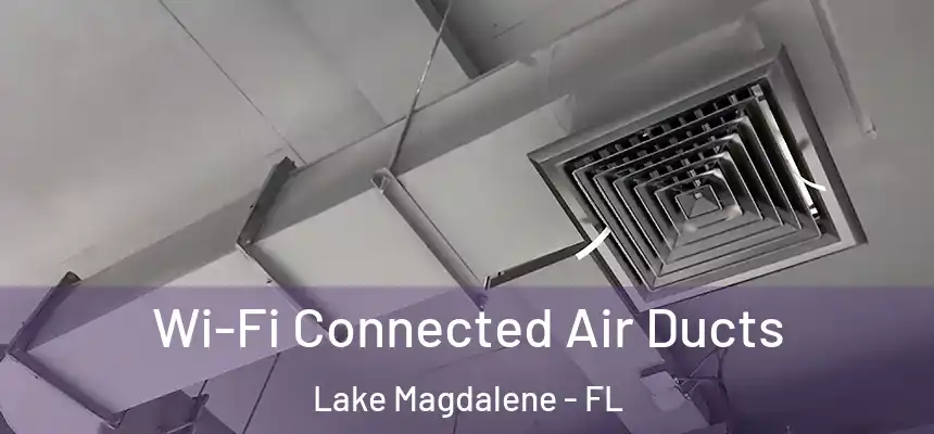 Wi-Fi Connected Air Ducts Lake Magdalene - FL